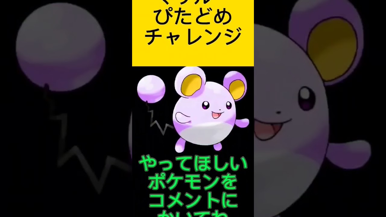 ポケモンぴたどめチャレンジ！！マリル編！！