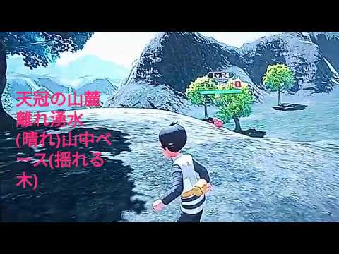ポケモン アルセウス　VS チェリンボ 捕獲 入手 出現場所