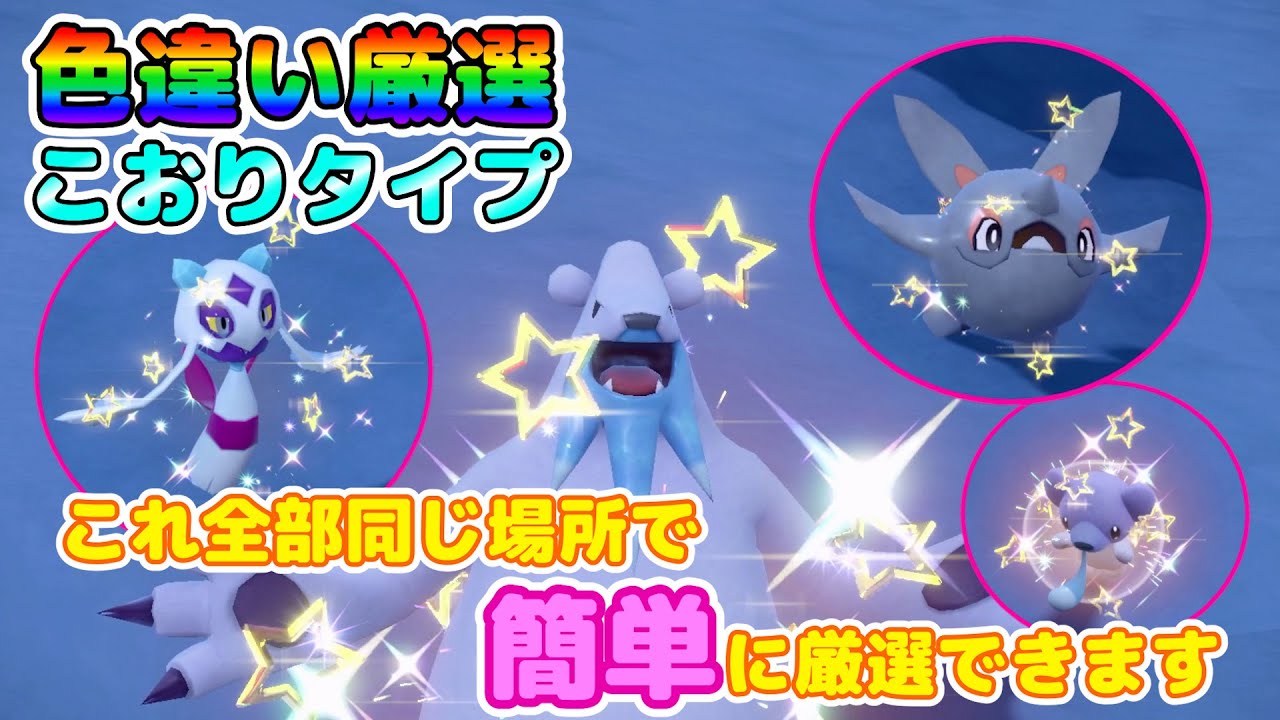 【色厳選】アルクジラにクマシュン！大量発生無し0歩厳選！色厳選の難しいこおりタイプの色違い厳選場所！【ポケモンSV】