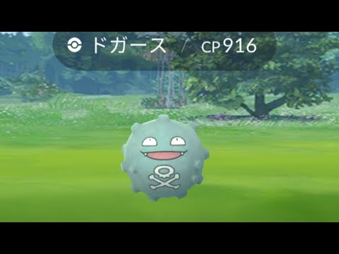 ドガース 色違い GET！！(*^▽^*)