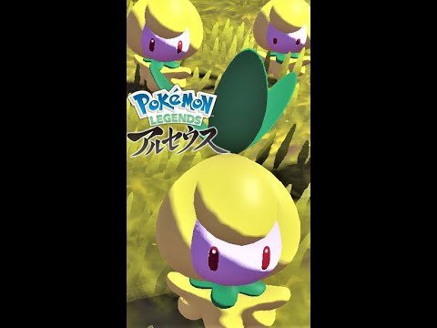 【疲れた人向け】6匹のチュリネを見て癒されよう【ポケモンレジェンズアルセウス】#Shorts