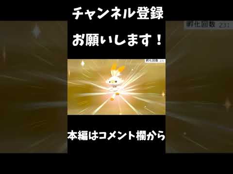 ヒバニーの色違いゲット！ 【ポケモン剣盾】