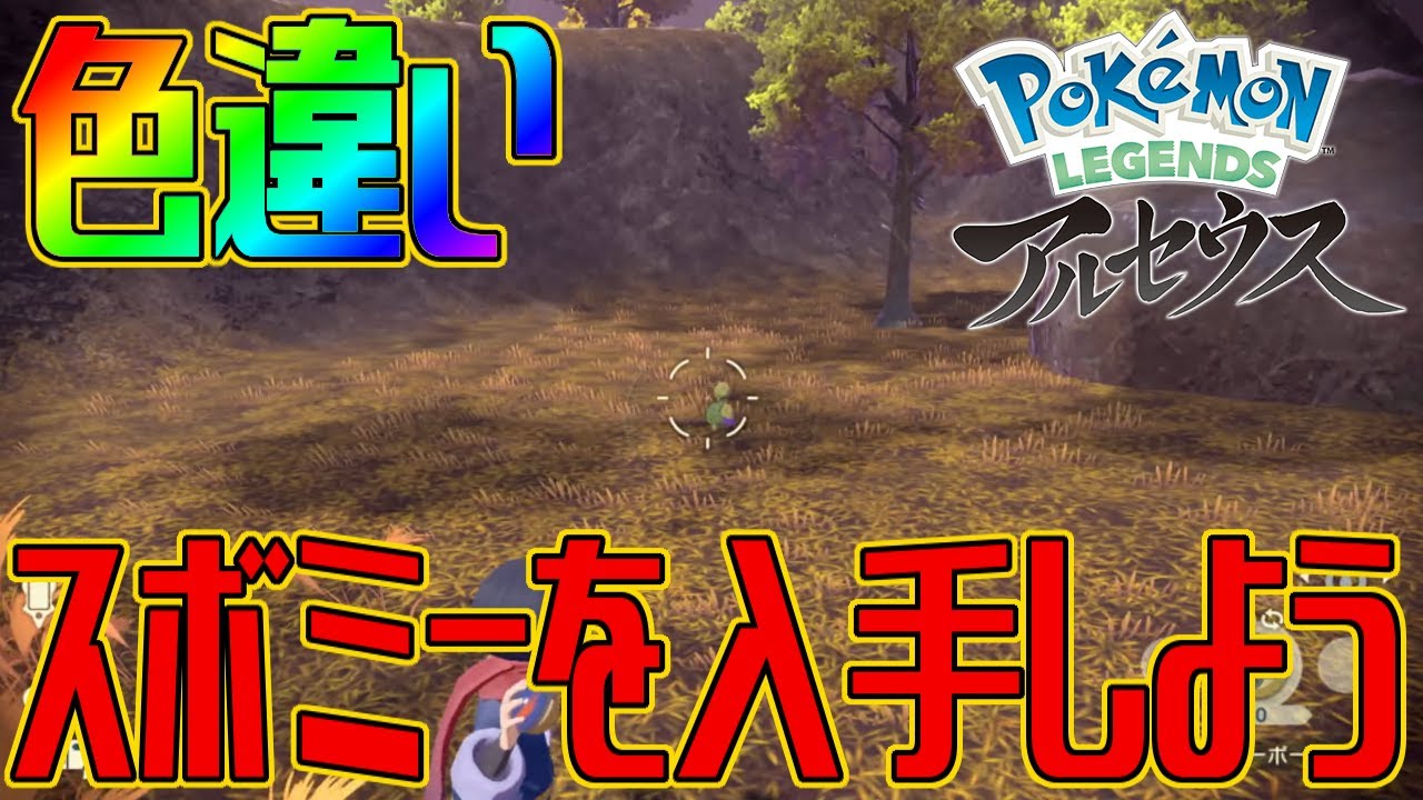 【ポケモンアルセウス】色違いスボミーを入手しよう【Pokémon LEGENDS アルセウス】