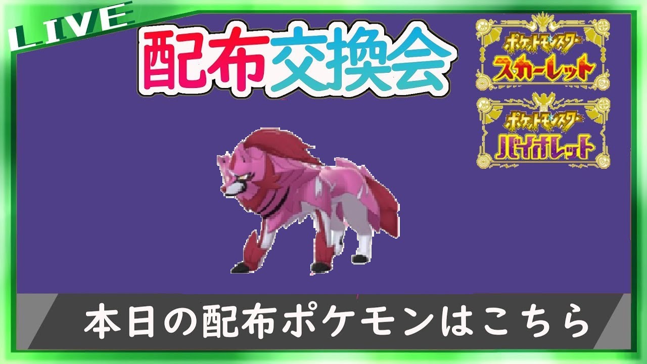 【ゴリランダーに】色ザマゼンタ配布交換会【ポケットモンスター スカーレット・バイオレット】