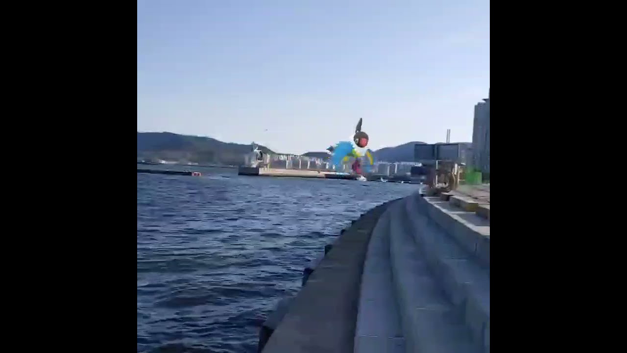 페라페 ( Chatot ) ペラップ