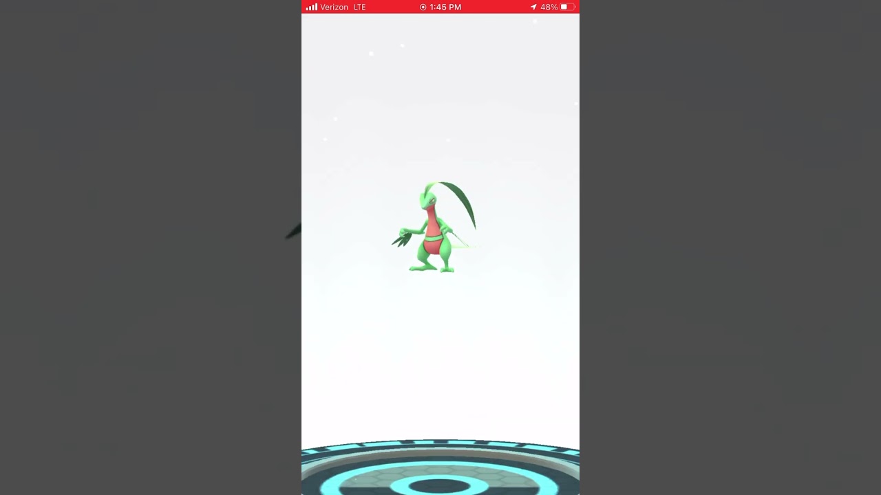 Element Ninja￼