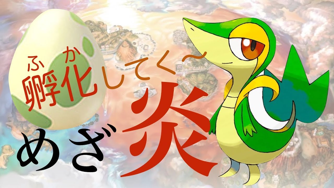 [ポケモン] めざ炎ツタージャを量産したい枠 [ポケモンUSUM]