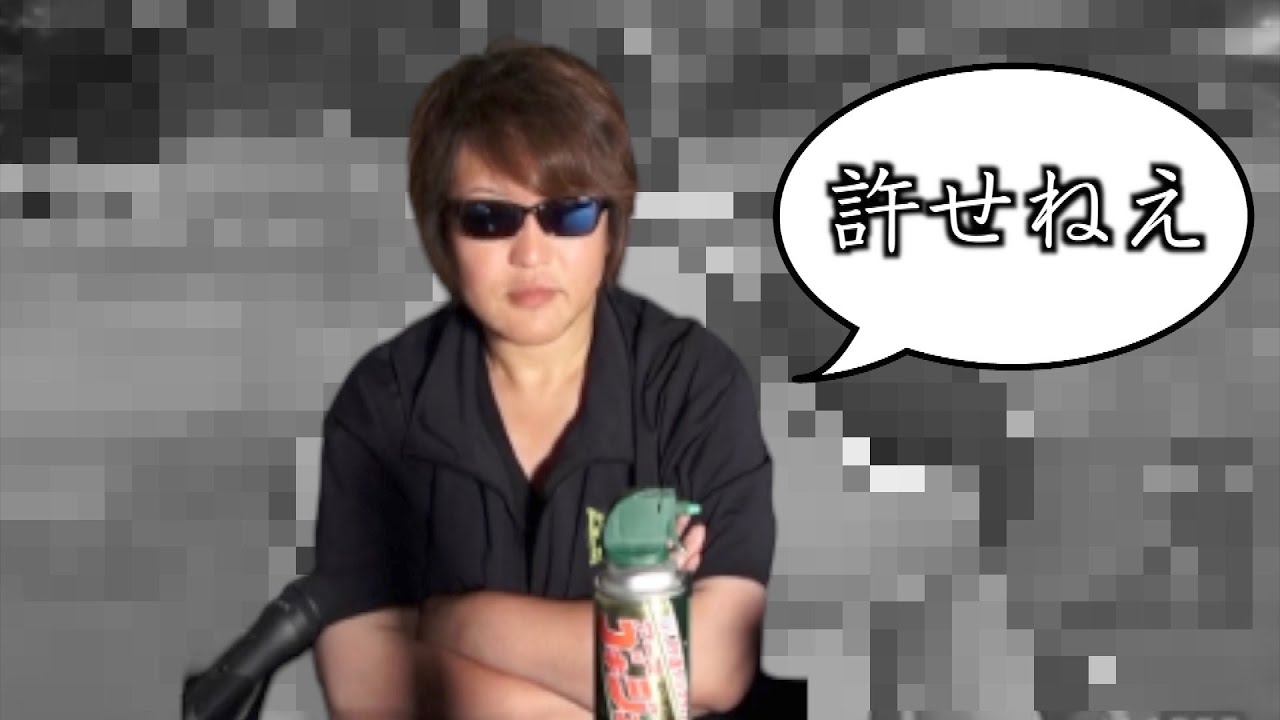 ポケモンGOで許せない奴がいます【ポケモンGO】