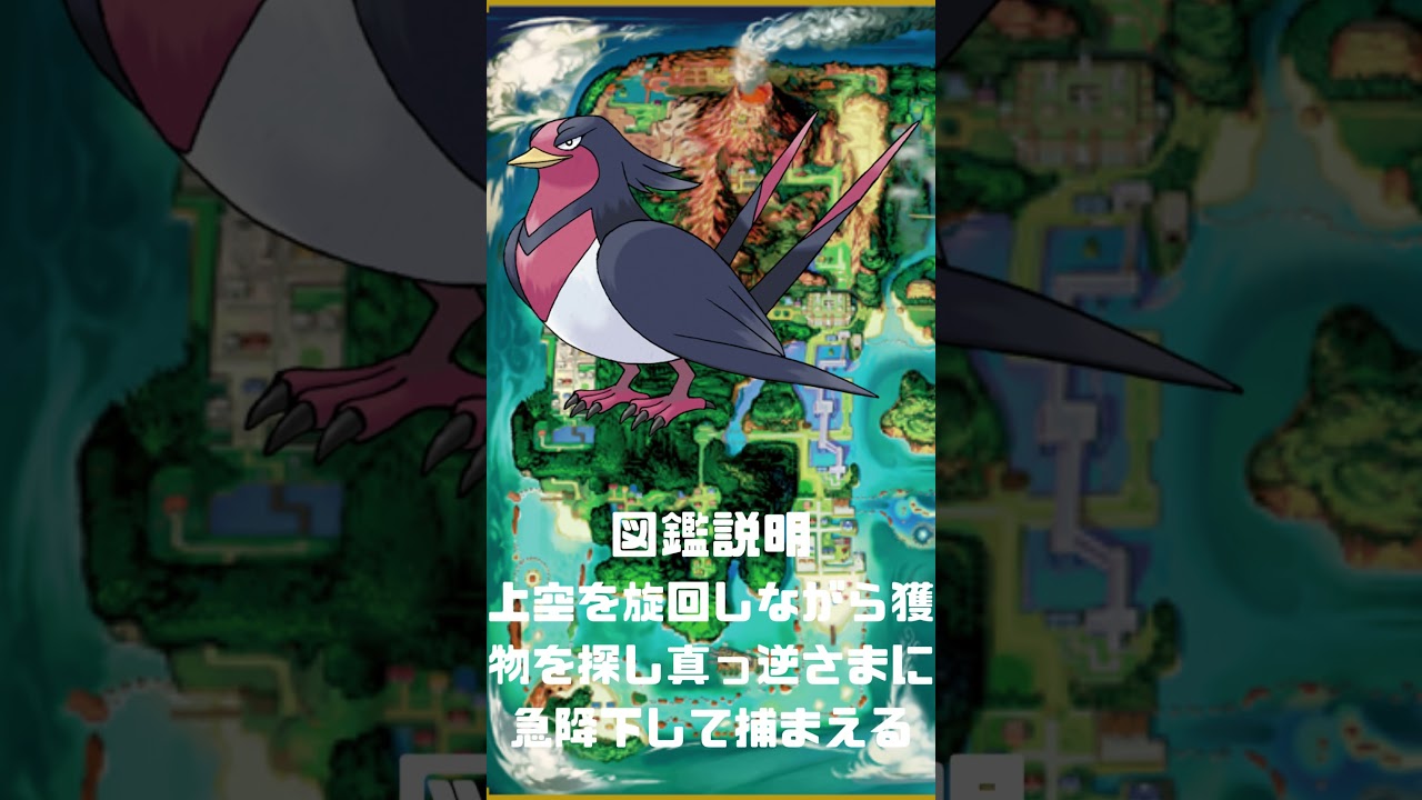 Ｎｏ．0277 オオスバメ【ポケモン図鑑】 #shorts   #ポケモン　#pokemon