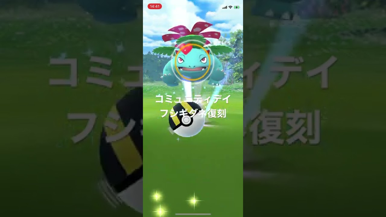 ポケモンGO コミュニティデイ　フシギダネ(復刻)全てのリサーチクリア！