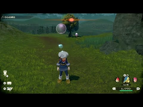 【ポケモン レジェンズ】 フワンテのさいみんじゅつ 【Pokémon LEGENDS Arceus】