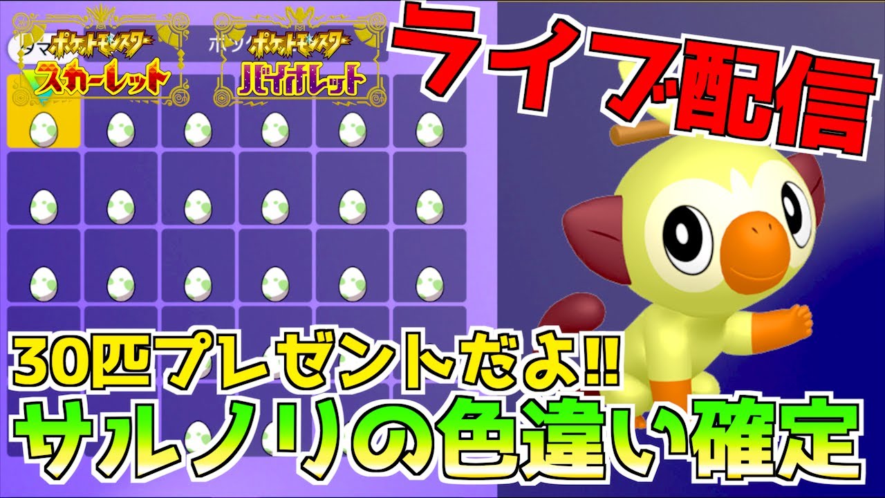 モンスターボールの色違いサルノリ３０匹限定でタマゴ配布 ライブ配信【 ポケモンSV 】