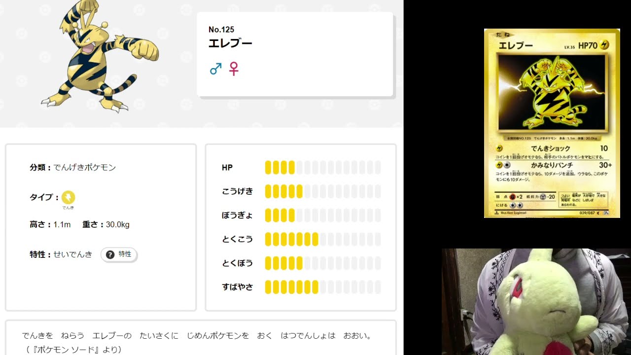 毎日ポケモン図鑑14日目　全国図鑑No.125エレブー
