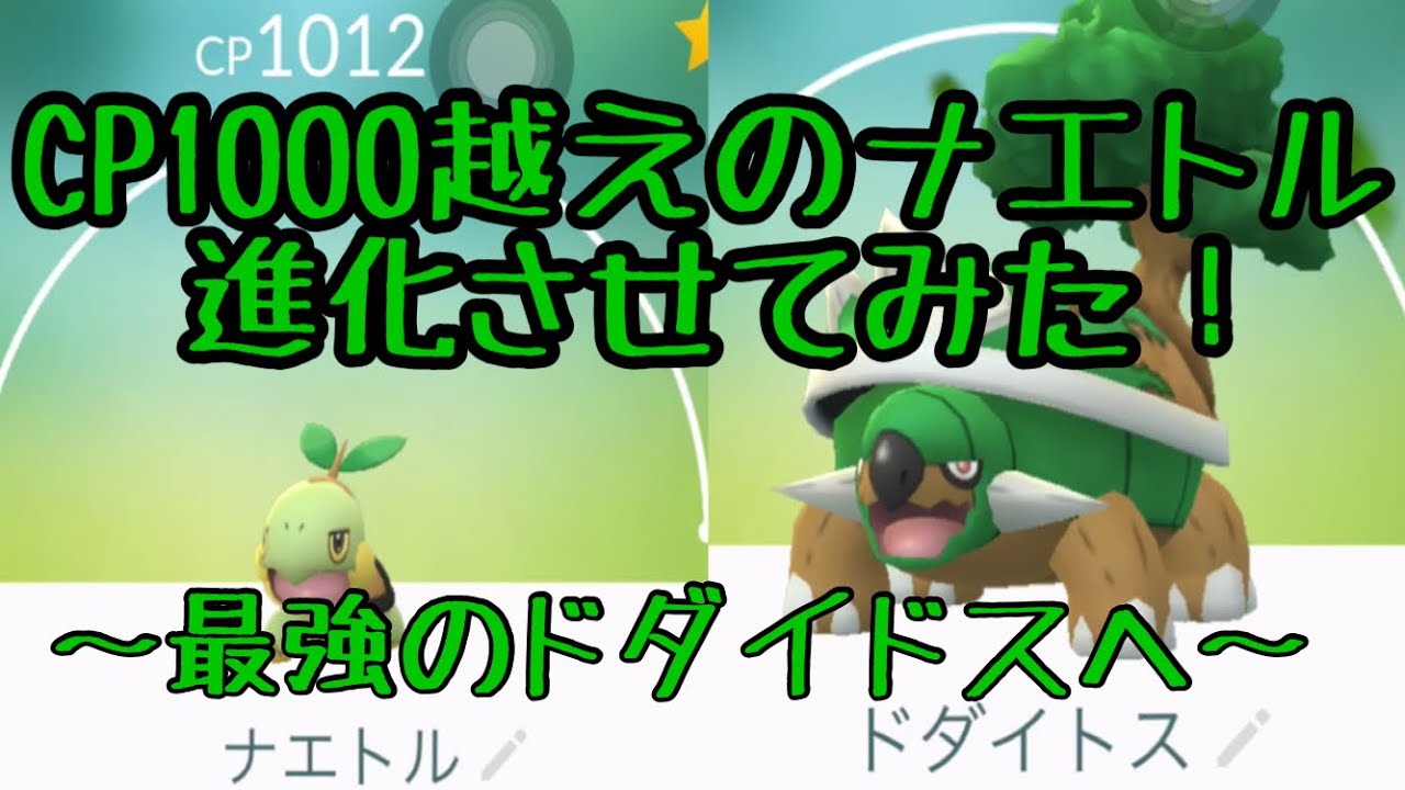 【ポケモンGO】9月コミュニティデイはナエトル！CP1000越えのナエトル進化させたら最強のドダイドスになるのか！