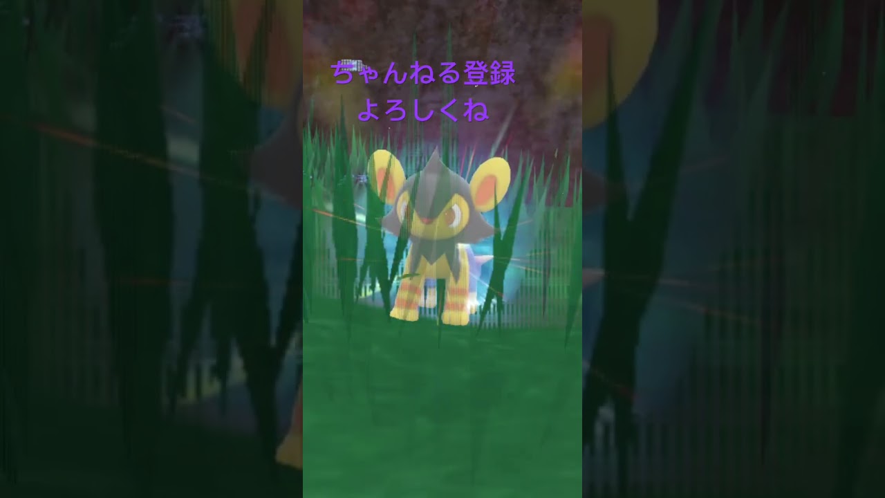 色違いルクシオ進化させてみた #gameplay #pokemon #shiny #ポケモン #ポケモンsv #色違い