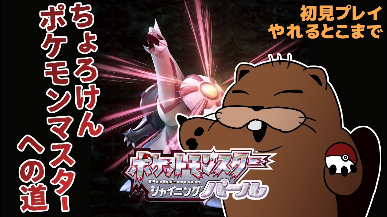【ポケモン】ビーバーがビッパ（ビーダル）だけでクリア目指す配信【ダイパ】