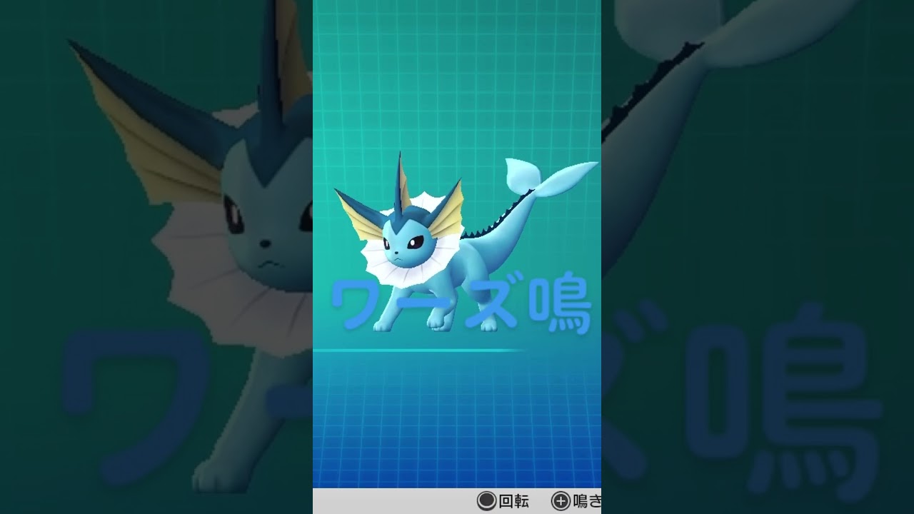 ピカブイ【図鑑NO134】シャワーズ鳴き声#ポケモン鳴き声 #図鑑コンプ #レッツゴーピカチュウ #レッツゴーイーブイ#ポケモン生態#シャワーズ動き#Vaporeon