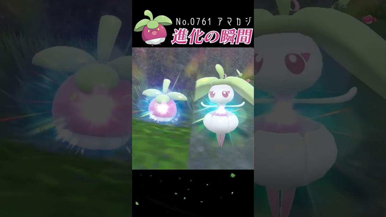 【バイオレット】アマカジ 進化の瞬間 #shorts