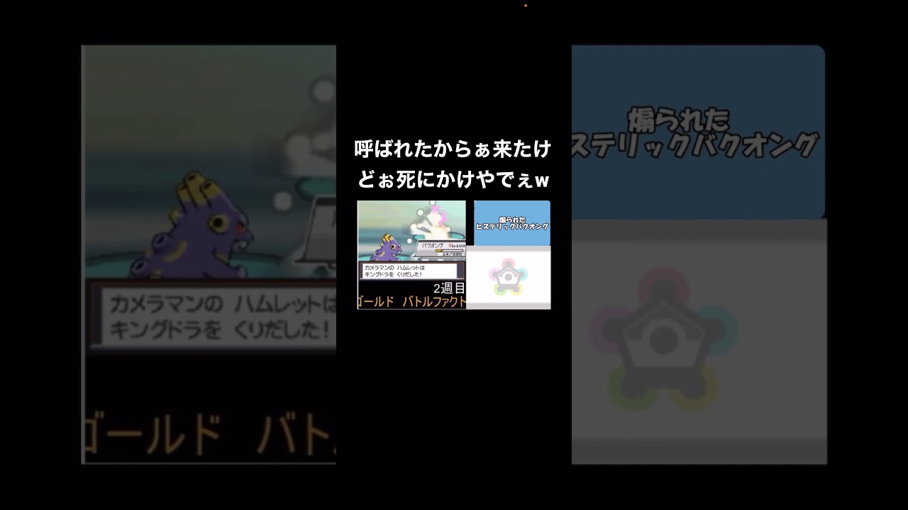 キングドラに煽られたバクオング #ポケモン #金ネジキ まだろん&みーど