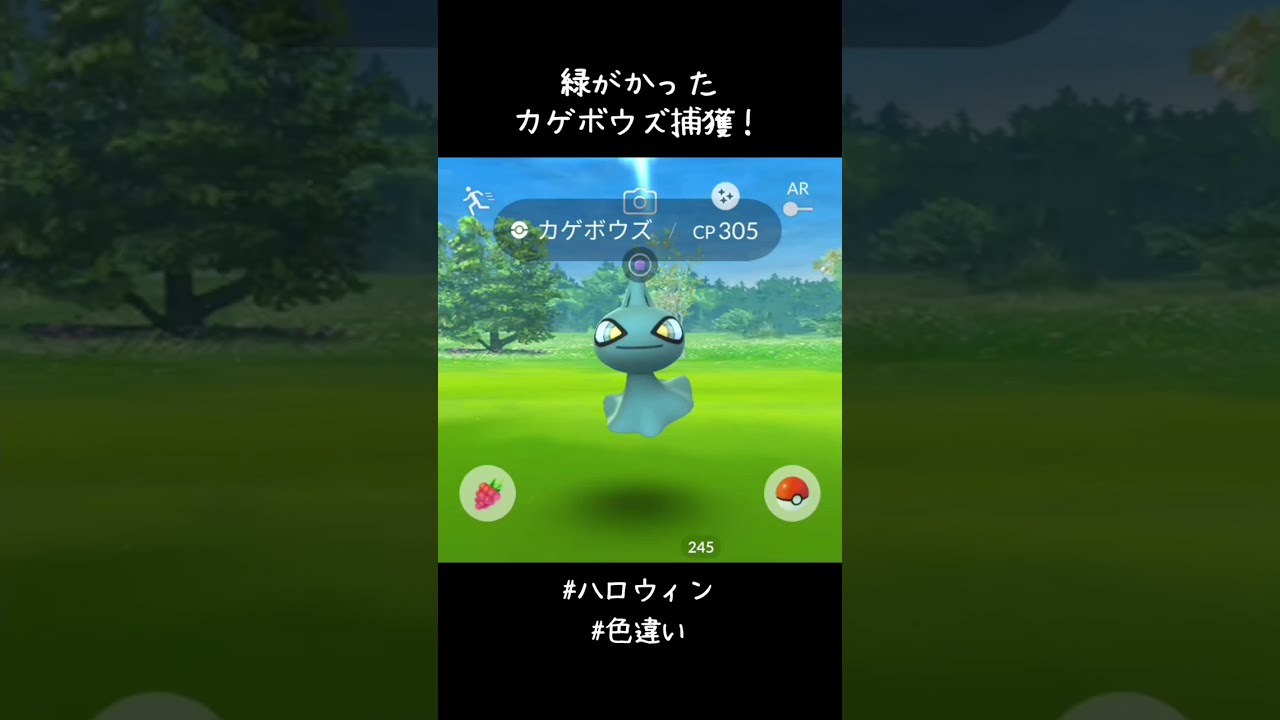 緑がかったカゲボウズ捕獲✨✨✨ギラティナ集中でメガジュペッタのレイドはスルーするつもりだったけど予定変更！！！#ポケモンGO #ハロウィン #色違い