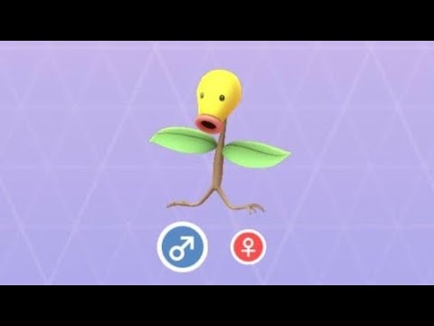 Pokémon GO 69 マダツボミ