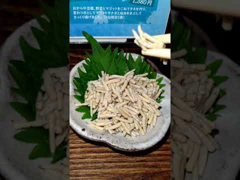 体を張ってポケモンキャタピー用