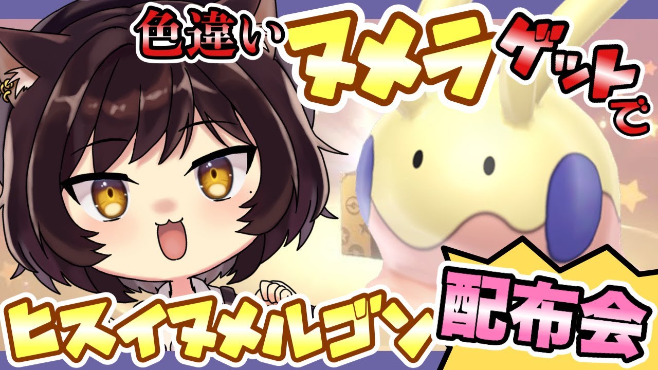 【ポケモンSV】配布会に向けて準備！色違いヌメラを捕まえたい！