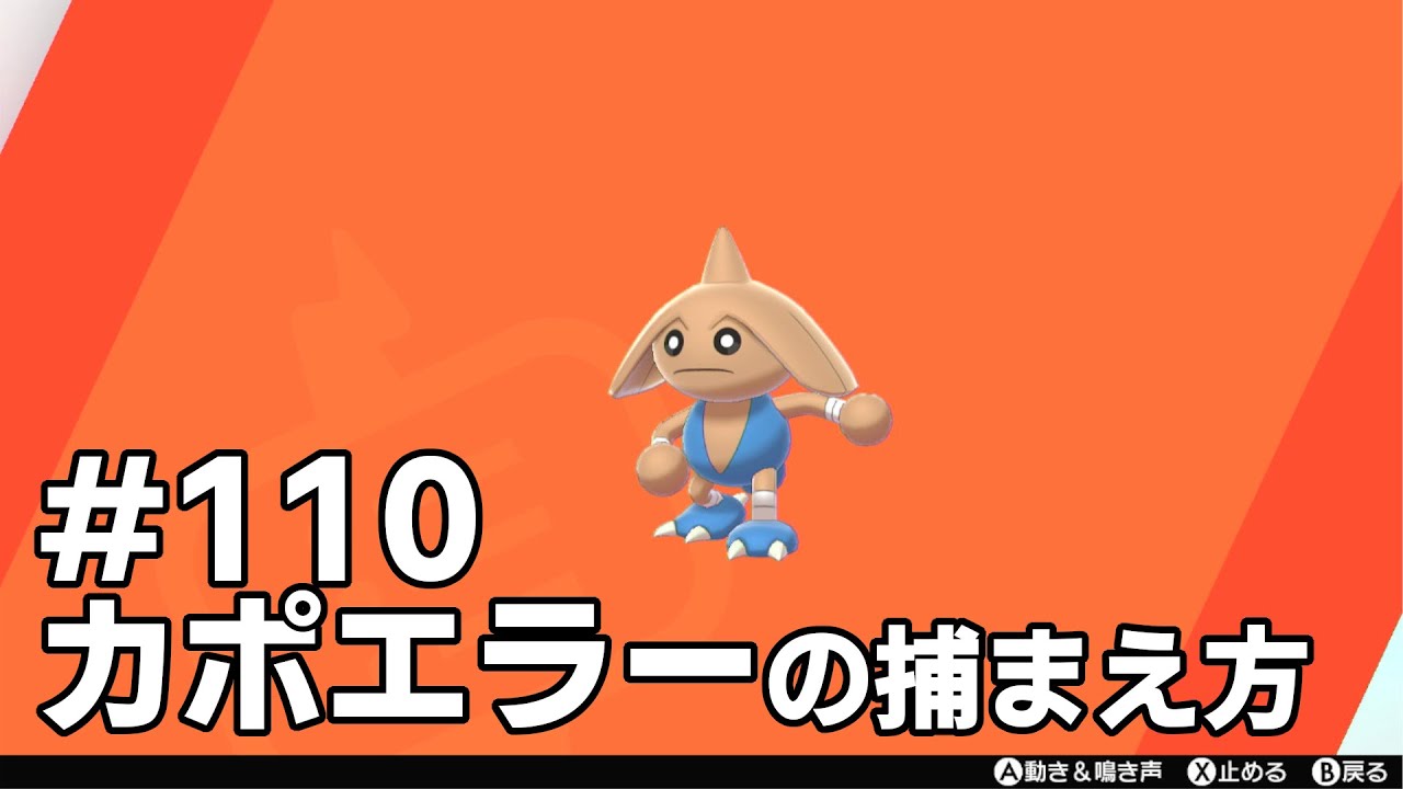 カポエラーを探している方に見てほしい動画