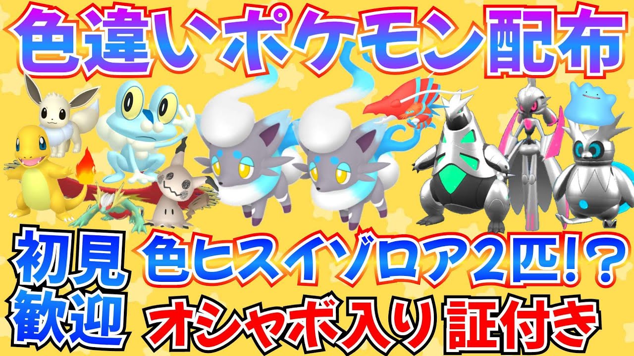 【ポケモンSV】色違いポケモン配布 色ヒスイゾロア ケロマツ ヒトカゲ パラドックス 100匹以上【概要欄必読】#ライブ #ポケモン交換 #ポケモン配布