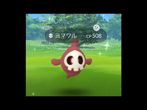通りすがりのヨマワル色違い🎉