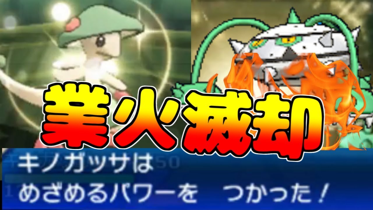 めざパ炎キノガッサでナットレイを燃やすのが楽しすぎるwww 5等分の犯〇者パーティ【ポケモンUSUM】