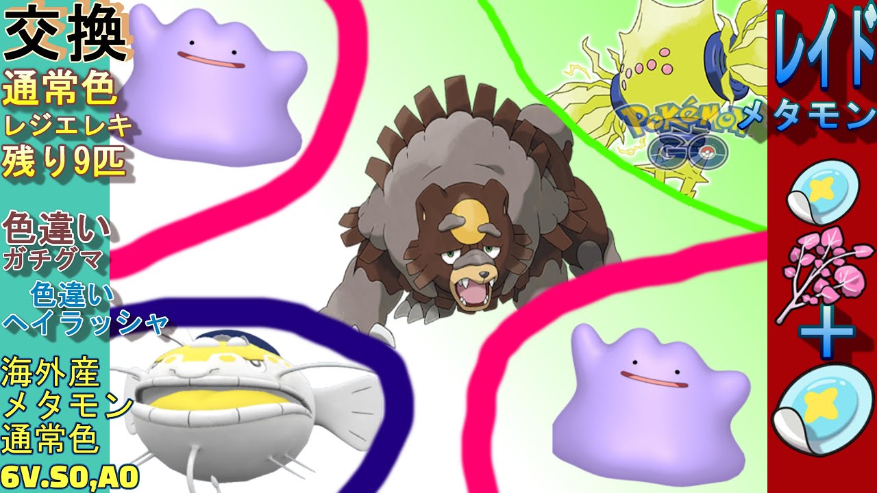 「明日頑張ります」　数体限定 色違いガチグマ (ヘイラッシャ色違い)配布   レジエレキポケGO産 海外産 6V S0 A0メタモン配布「Pokémon」「ポケモンSV」 7月31日　配布ライブ