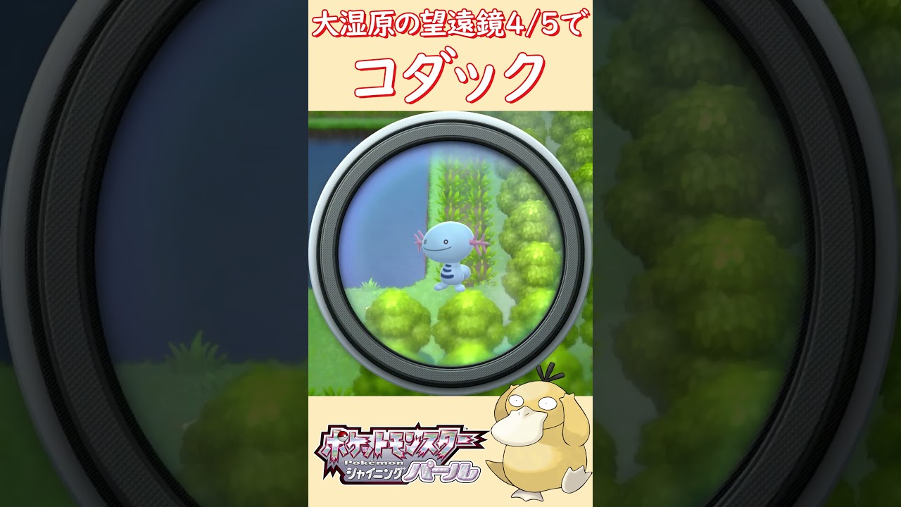 4/5 コダック#shorts #ダイパ #ポケモン