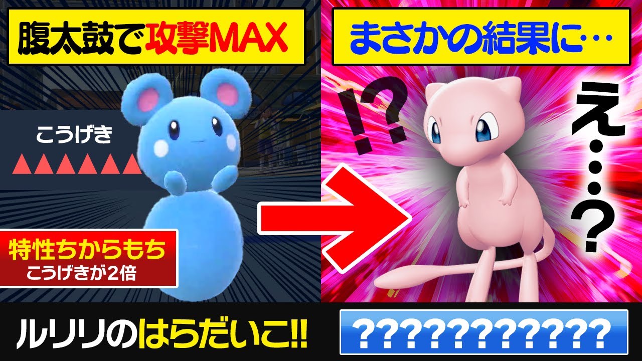 【抽選パ】進化前を使うと相手は99%油断するから、その隙に「はらだいこ」で奇襲したら強いんじゃね？←結果　「ルリリ」 #71-2【ポケモンSV/ポケモンスカーレットバイオレット】