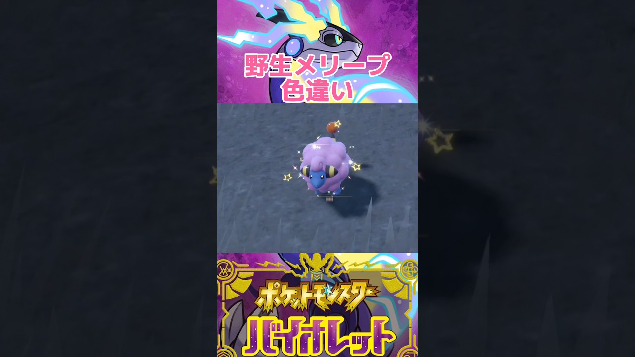野生メリープ色違い【ポケモンSV】 #shorts