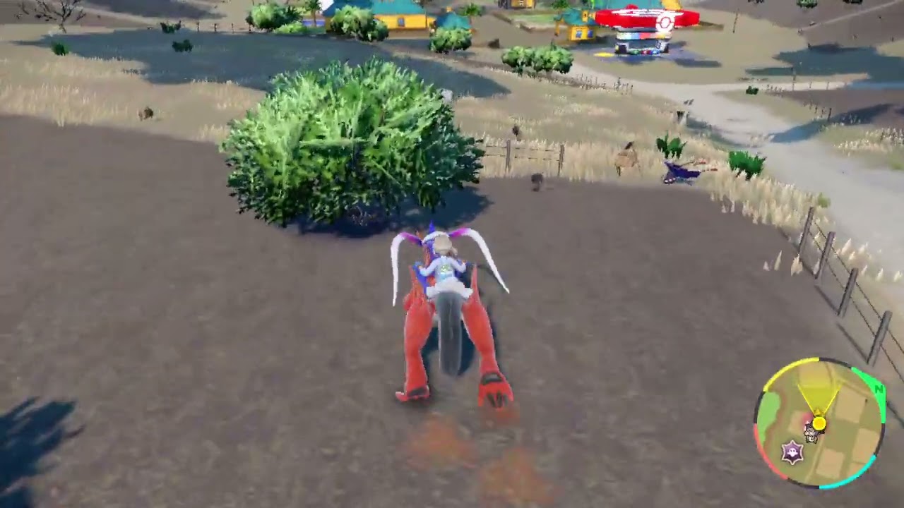 ホシガリス　色違い