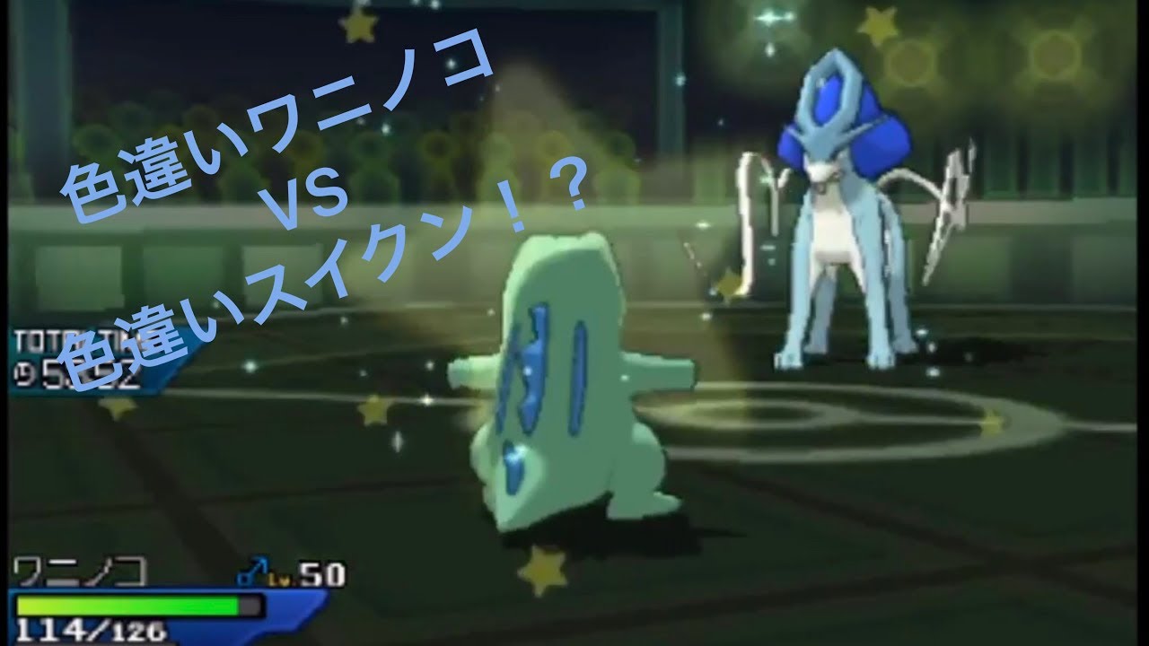 【ポケモンUSUN】色違いワニノコで色違いスイクンを倒す！？