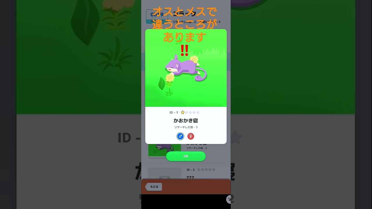 1か所違い探し‼️オスとメスのコラッタ Pokemon sleep