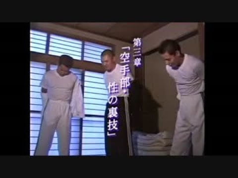 【ポケモンUSUM】 　パッチールが