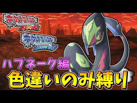 色違いしか使えないアルファサファイア　ハブネーク編【概要欄読んでね】