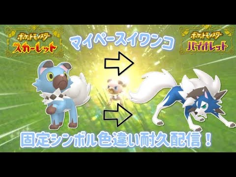 【ポケモンSV】1/4096色違いイワンコ２４時間耐久配信！黄昏ルガルガン大量乱獲計画！