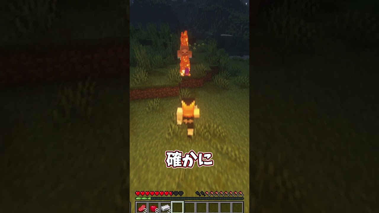 【霊夢vs魔理沙】赤色のアイテムのみ使える世界でのプレイの違い【ゆっくり実況/ゆっくり茶番】【マインクラフト/マイクラ】#shorts