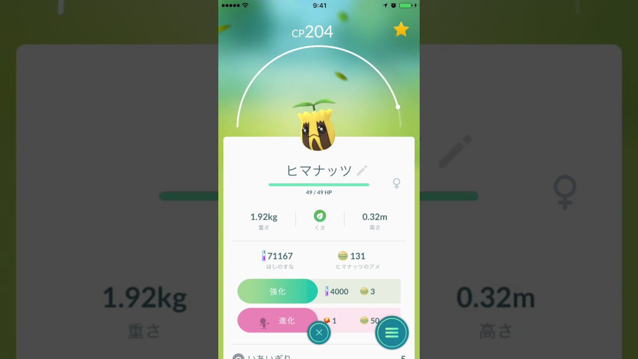 ポケモンGO　191-192　ヒマナッツからキマワリへの進化。 Pokémon Go Sunkern evolution.