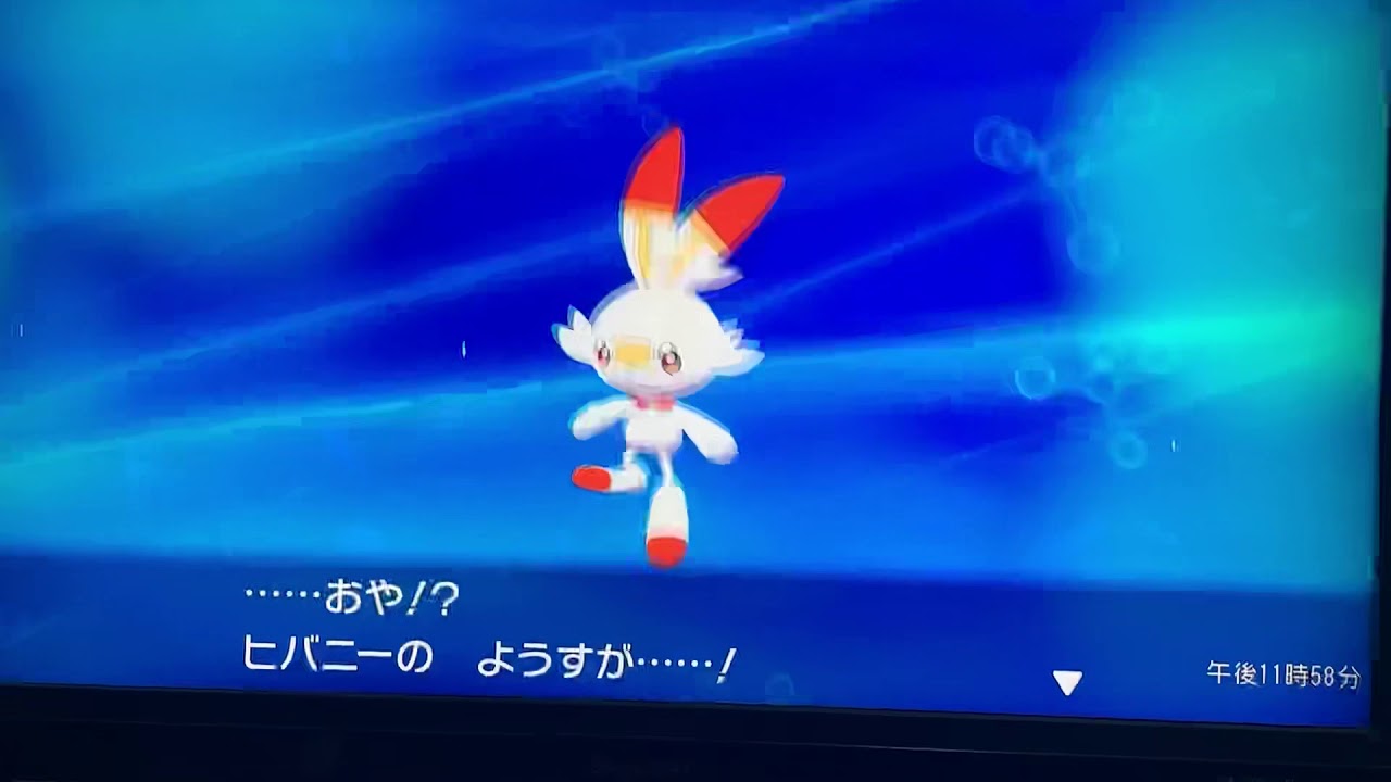 ポケモンモンスターソードヒバニーの進化ラビフットに進化だ