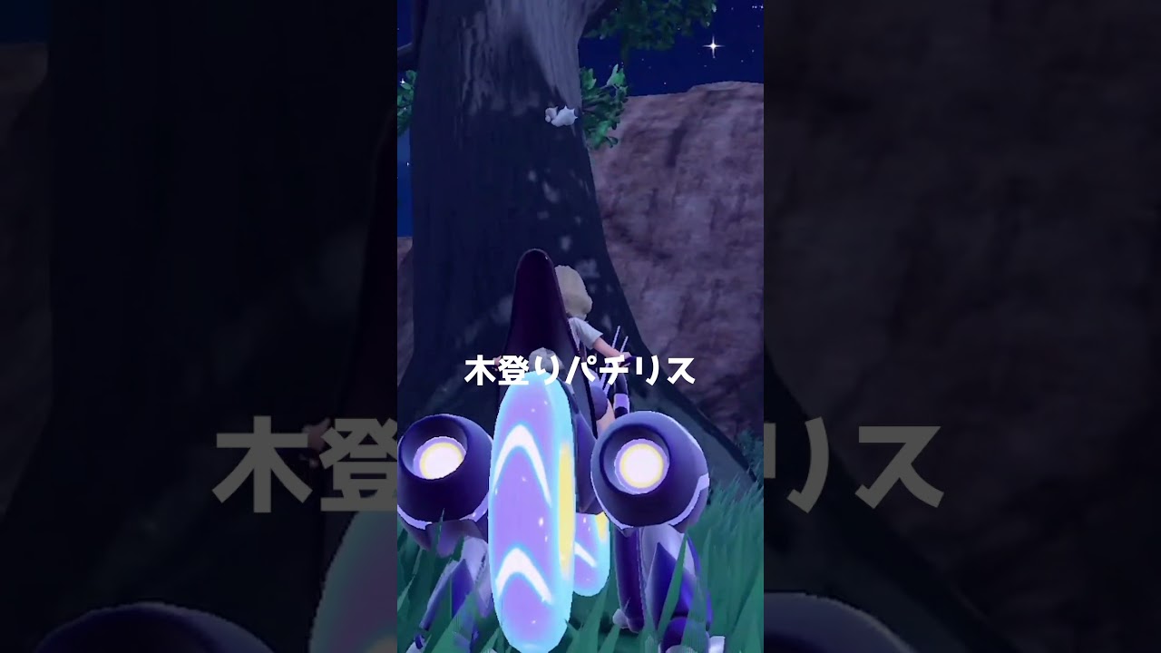 【癒し動画】木登りパチリス【ポケモンSV】#shorts