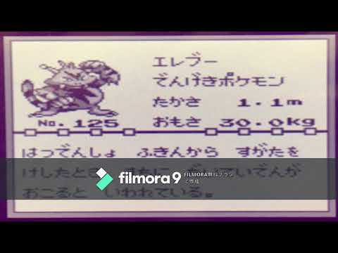 【図鑑NO125】エレブー　鳴き声