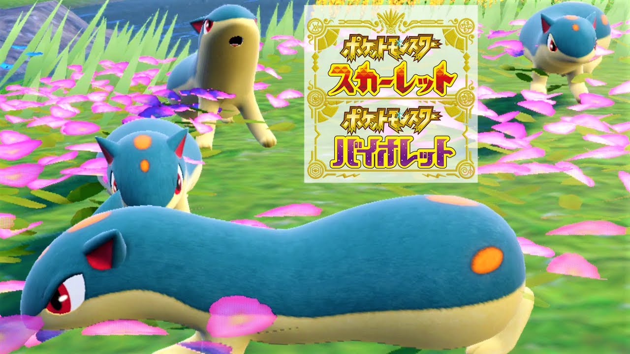 【可愛い】マグマラシ６匹に囲まれて癒されピクニック【ポケモンSV】