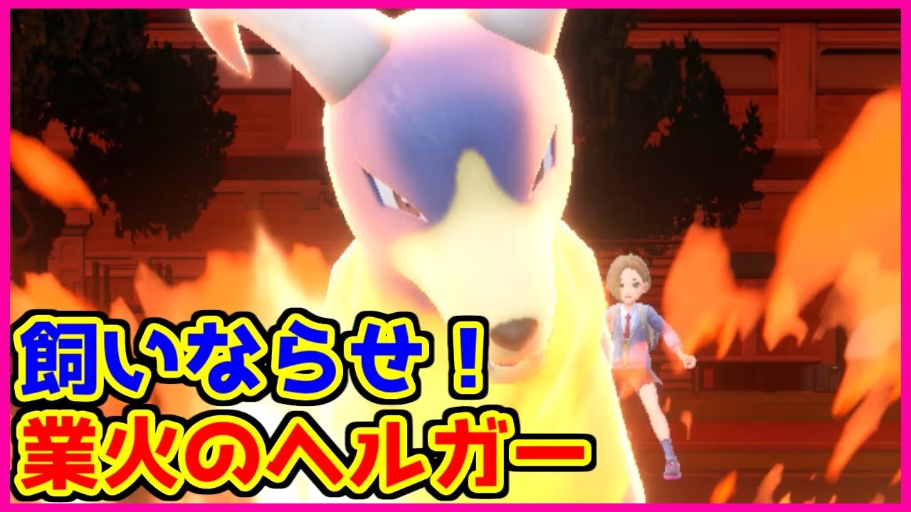 【ポケモン賭博黙示録】ヘルガーってかっこいいよなぁ。【第4話 中編】