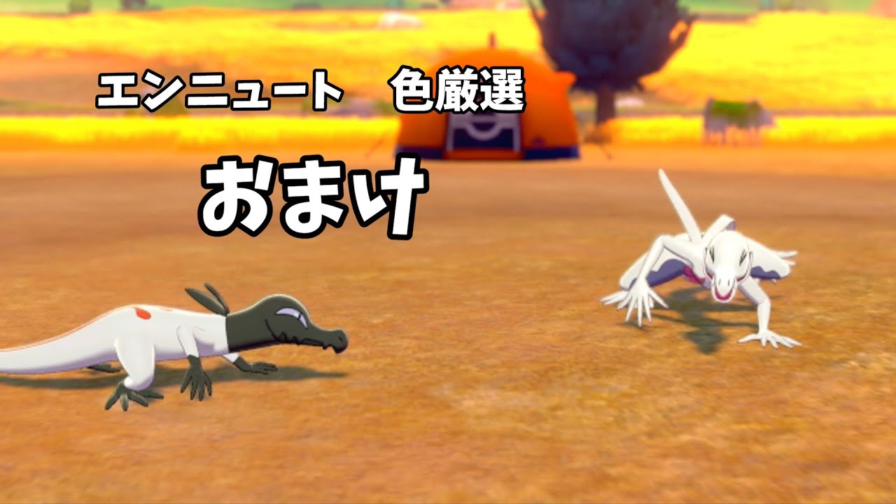 【ゆっくり実況】　エンニュートの色厳選　おまけ　【ポケモン剣盾】　#shorts