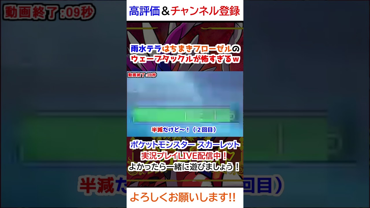 雨水テラはちまきフローゼルのウェーブタックルが怖すぎるｗ【ポケモンSV】 #ゲーム #ポケットモンスター #ゲーム実況